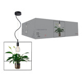 Lustre Pendente Nature Para Plantas Em Aço Preto Fosco E27 