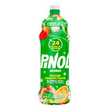 Pinol Aromas Limpiador Aromático Frutal 828ml, Color Verde,