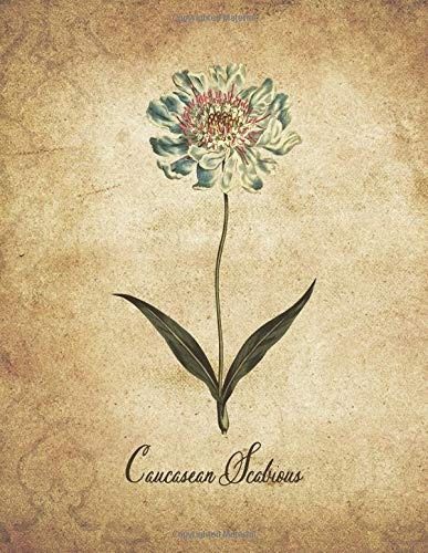 Caucasean Scabious Vintage Floral Notebook With College Rule