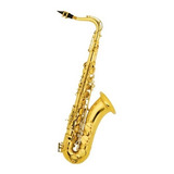 Saxo Tenor En Bb Con Llave En F# Davidson Mayer