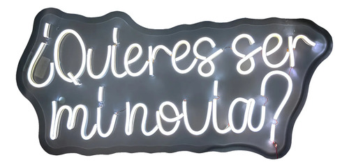 Letrero Led Neón Quieres Ser Mi Novia Decorativo | Meses sin interés