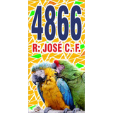 Azulejo Numero Casa Arara E Papagaio 20x40 Cm