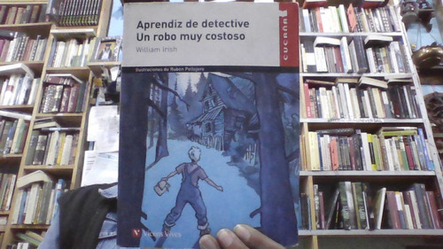 Aprendiz De Detective Un Robo Muy Costoso 