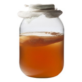 Scoby De Kombucha + Té De Arranque