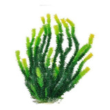 Aquatop Planta De Acuario De Agua Dulce, Planta Verde, 20 De