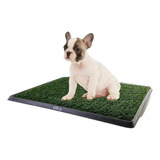 Bandeja Sanitaria Perro Animal Planet 76x51cm Pet Shop Beto