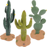 Estantería Pequeña Con Cactus Y Suculentas Para Decoración D