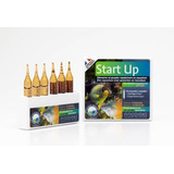 6 Ampolas Prodibio Start Up Biodigest Start+stop Ammo Start