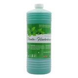  Shampoo Con Extracto De Menta & Hierbabuena Hidratante Productos Mart México (1 Litro)