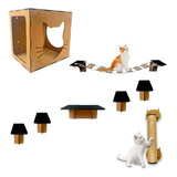 Circuito Playground Gato Suspenso Parede 8 Pcs Kit Completo