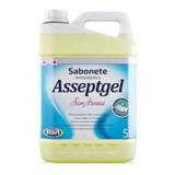 Sabonete Antisséptico Asseptgel Sem Aroma 5l Bacgel Start