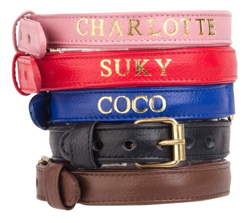 Collar De Piel Personalizable Para Perro - Bekech Grande