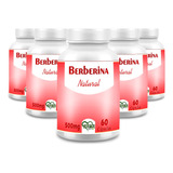 Berberina 100% Puro, Natural Em Cápsulas/500mg Kit 5 Potes