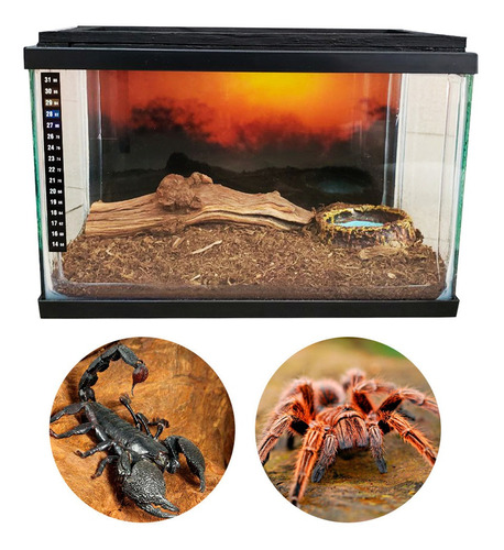 Kit Terrario Para Reptiles (tarantulas) 