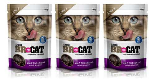 Br Fot Cat Snack Para Gatos | Cuidado Piel-pelaje 100 G X 3u