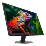 Sceptre E205w-r - Monitor Led Ultradelgado Sin Marco, Con H.