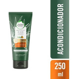 Acondicionador Herbal Essences Bio Renew Aloe Y Mango 250 Ml