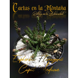 Euphorbia Flanaganii - Cultivo En 5 Pulgadas