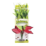 Marina Naturals Pickerel Silk Plant En Rojo  Verde