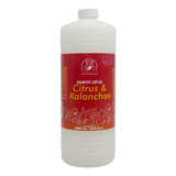 Shampoo Capilar Citrus & Kalanchoe Cabello Graso (1 Litro)