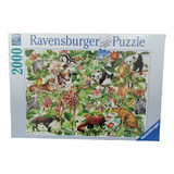 Ravensburger Puzzle 2000 Piezas Selva Supertoys Hobbys 