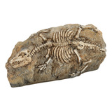 Decoración Fósil De Dinosaurio Para Acuario, Reptil, Dinosau