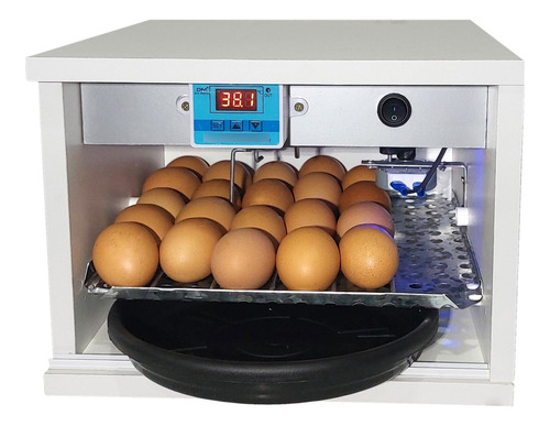 Chocadeira Automática 20 A 30 Ovos Elétrica Pequena Promoção