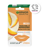 Mascarilla Para Labios Reparadora Garnier Mango Y Pantenol