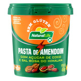 Pasta De Amendoim Com Açúcar De Coco E Sal Rosa Do Himalaia Integral Natural Life Pote 450g