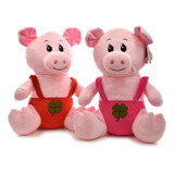 Peluche Chancho Vestido 40cm Charko 5450