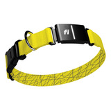 Fi Collar Inteligente Para Perro Serie 3, Rastreador Gps Par