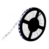 Tira Led 5050 Rollo 5 Metros Blanco Frio 300 Leds 24v Exterior Camion Colectivo