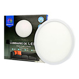 Lampara Luminaria Luz Led Blanco Frio 18w De 175mm Diametro