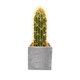 Cactus Con Maceta 10x28 Cm Planta Artificial - Sheshu Garden
