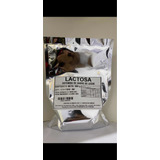 Lactosa - 500 G