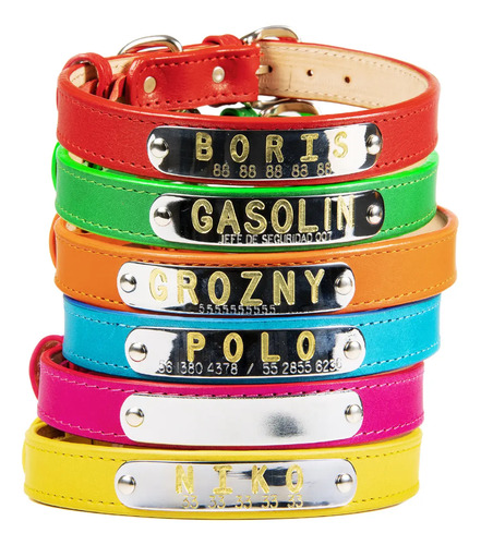 Collar Piel Perro Personalizado Placa Identificación Talla S | Meses sin interés