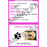 Identidade - Rg Carteira De Identidade Pets Canina E Felina 