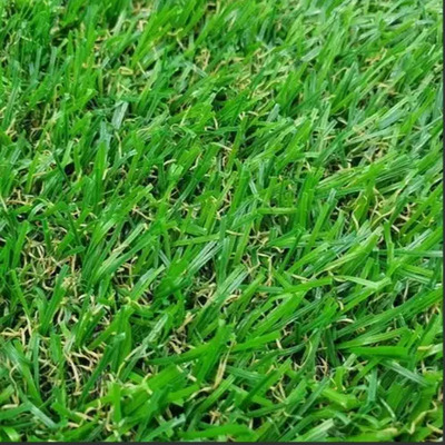 Mezcla Semillas De Pasto Kikuyo, Ray Grass, Bermuda 3 Kg | Envío gratis