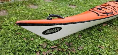 Kayak Asiak Cormoran