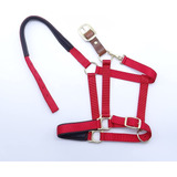 Halter Para Caballos  Nailon Acolchado, Desprendimiento...