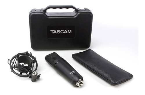 Micrófono Condensador Tascam Tm-180 Con Case Y Estuche