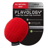 Pelota Chirriante De Felpa Playology Para Razas Grandes (35 