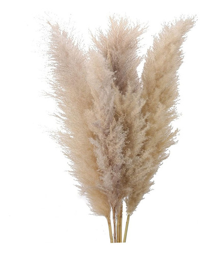 Pampas Frescas Fluffy Decoración (20 Piezas) (1.2 Metros)