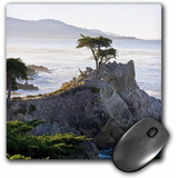 Mouse Pad Imagen Oceano Precipicio California 8 X 8 Pulga...