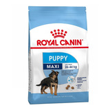 Royal Canin Alimento Perro Cachorro Large Puppy 2.72 Kg *