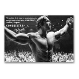 Poster Arnold Schwarzenegger Gym Fitness Hd 48cmx33cm As03