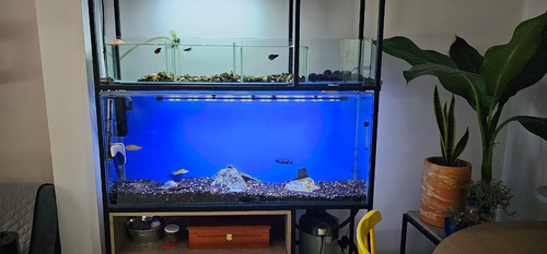 Acuario 170 Litros Con Sustrato Y Filtro Externo 1200 L/h