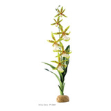 Planta Orquidea Exo Terra Adorno Terrario Reptil