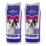 Tapete Higienico Pet Confort 80x60 30un Atacado 2 Pacotes