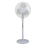 Ventilador De Pie 16'' 50w Philco 